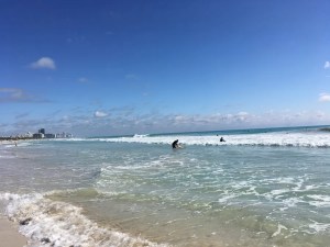 Vibrio vulnificus