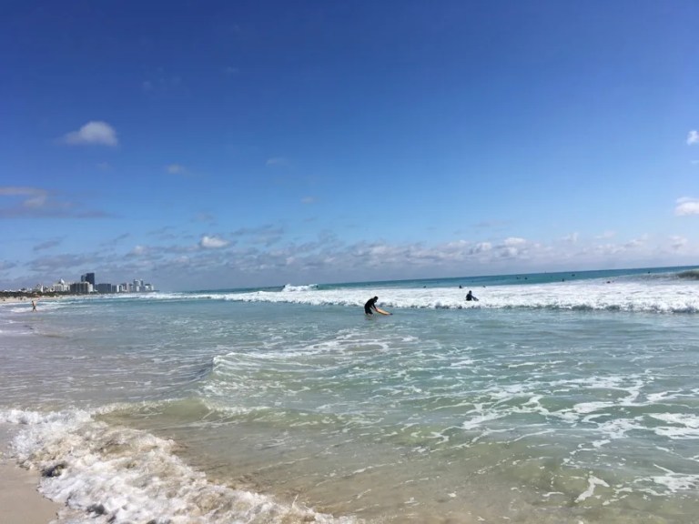 Vibrio vulnificus