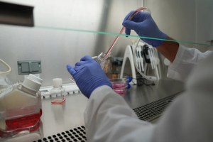cáncer investigación vida