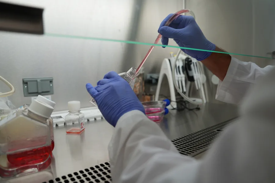 cáncer investigación vida
