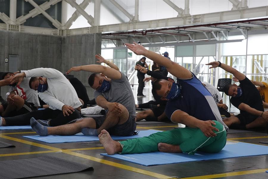 entrenamiento fuerza piel